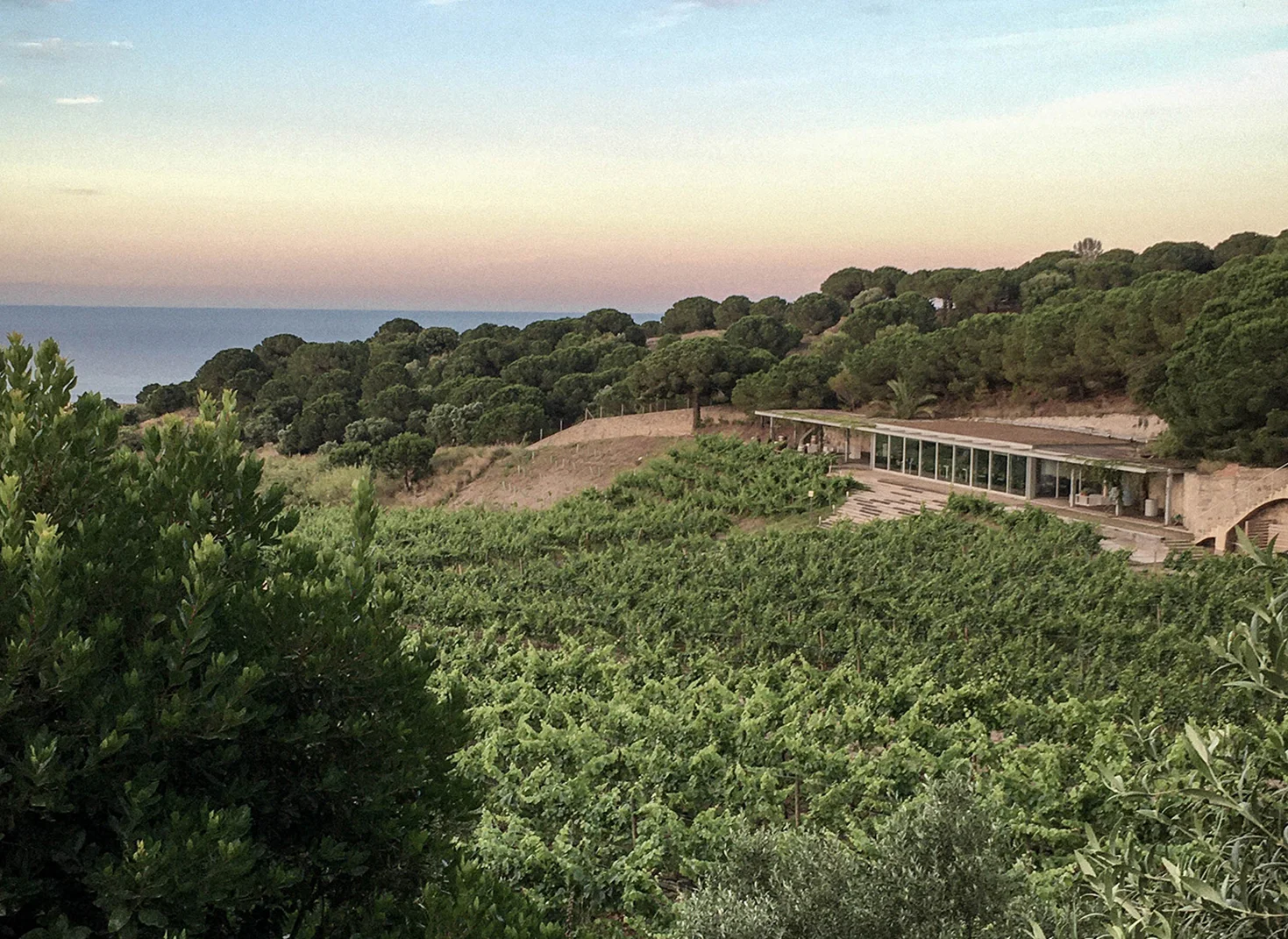 Visita con degustación