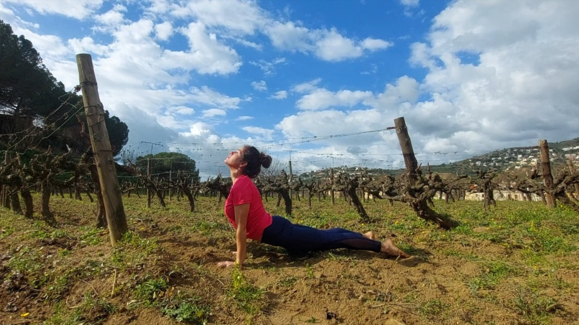Yoga entre viñedos
