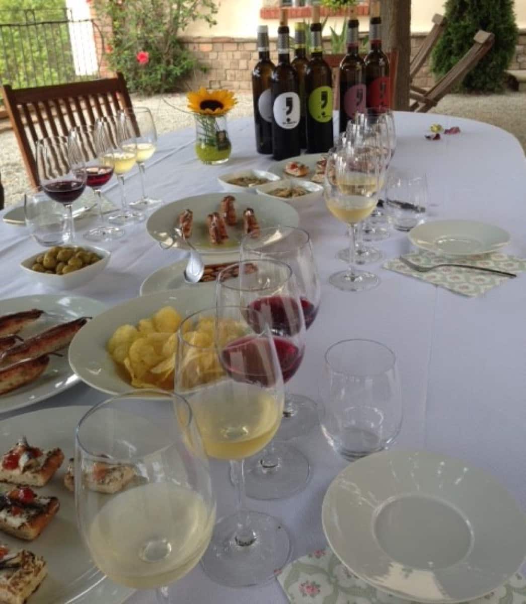 Aperitivo Entre Viñedos