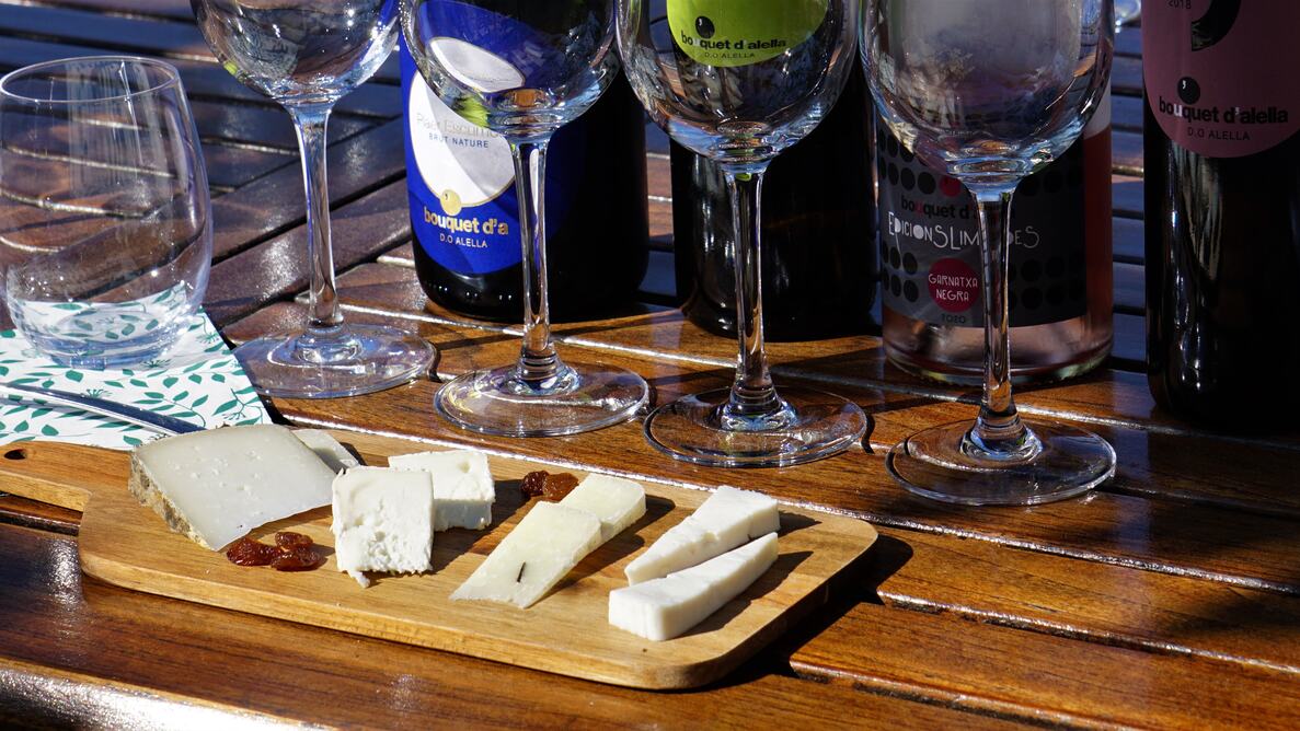 Maridaje De Vinos Y Quesos