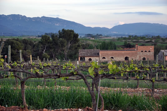 visita a la bodega Carles Andreu