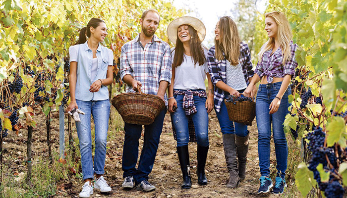 Almuerzo de "Pagès" entre viñas & visita guiada a la bodega